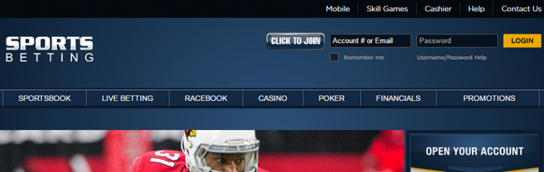 SportsBetting Review
