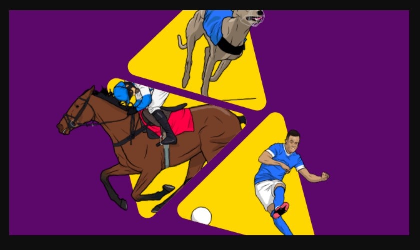 BETDAQ Bookmaker’s Cashback up to 1000 GBP!