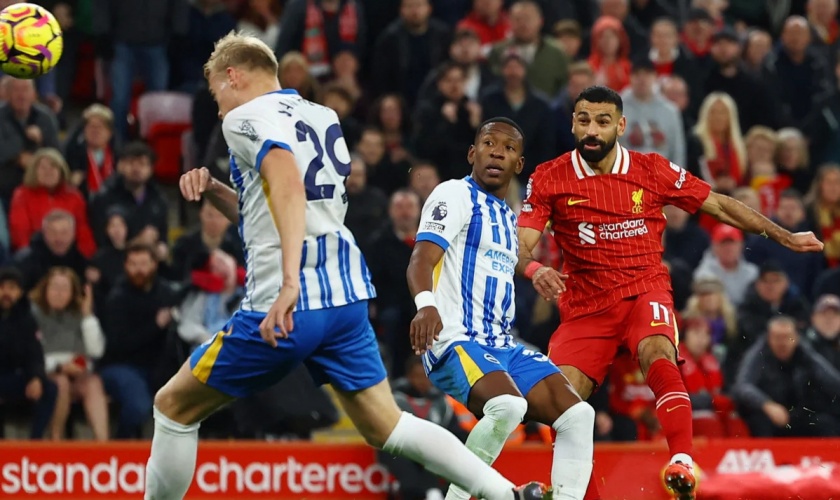 Liverpool F.C. vs Brighton & Hove Albion F.C. Prediction 14 February 2026