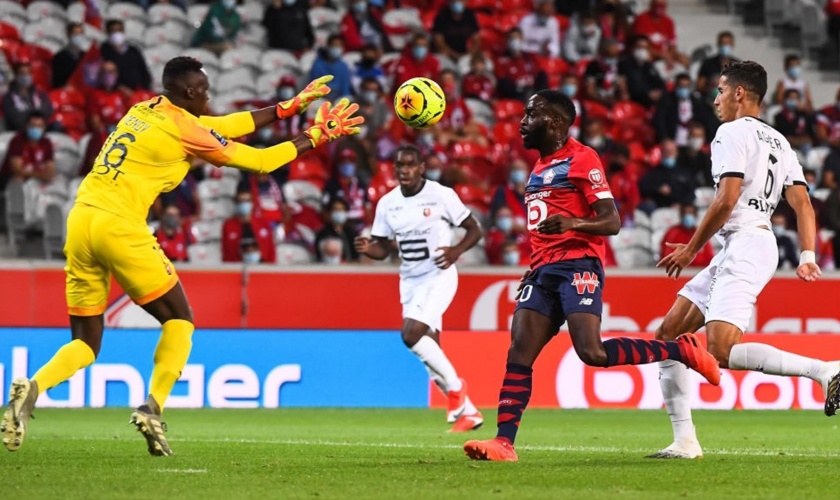 Stade Rennais FC vs Lille OSC Prediction 16 February 2025