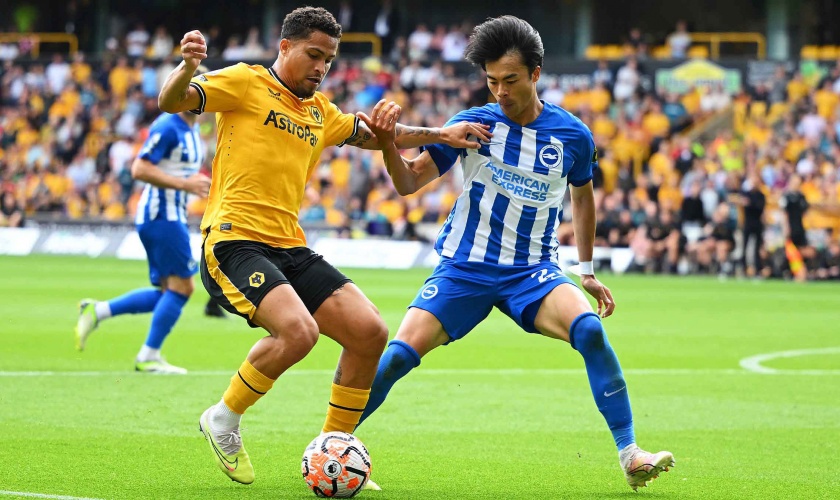 Brighton & Hove Albion F.C. vs Wolverhampton Wanderers F.C. Prediction 22 January 2024