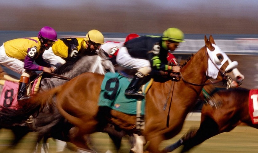 Online Horse Betting Guide