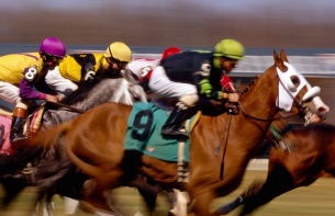 Online Horse Betting Guide